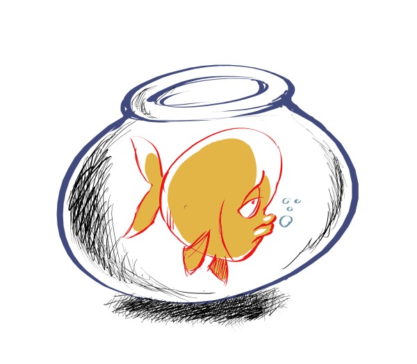 Bored Fish